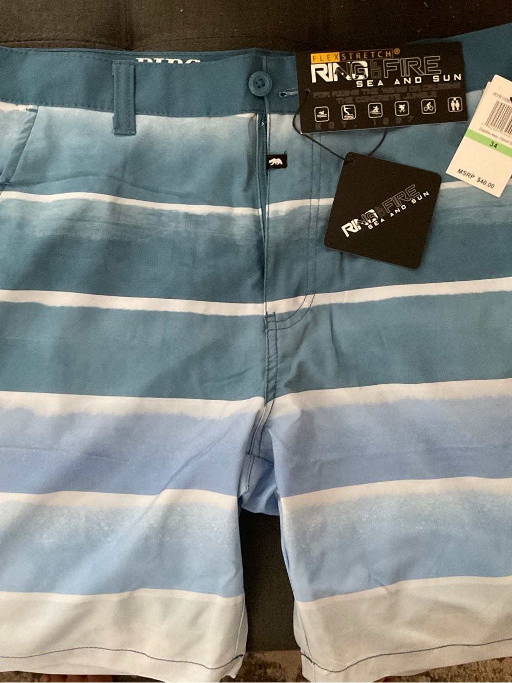 Men's Blue Striped Swim Trunks